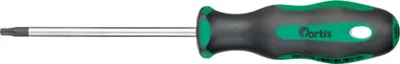 Obrázok produktu pre Skrutkovač T20x100mm FORTIS