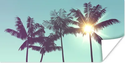 Produktbild von MuchoWow® Poster Palmen - Sommer - Sonne 40x20 cm - Poster für die Wand - Poster Schlafzimmer
