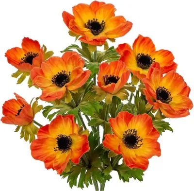 Obrázok produktu pre Umelé sasanky dekoratívne kvety oranžová 55 cm sada 3