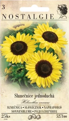 Image de Tournesol annuel simple, jaune