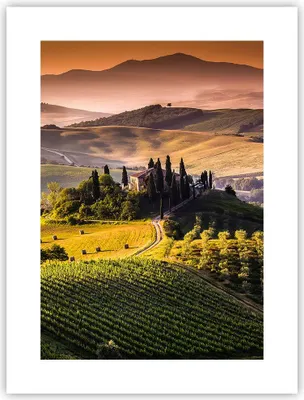 Produktbild von Poster - Poster ohne Rahmen - Landwirtschaft Bauernhof Toskana Weinberg - 30x40 cm - Wand Bild - Wanddeko - Wandbilder - Kunstposter - Wandposter - Bilder - Kunstdruck - Wandbild - P2XPA30x40-2465