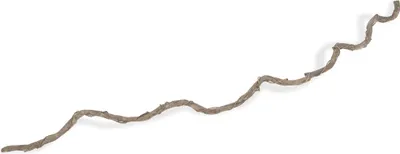 Produktbild von Drachen Liane umwickelt Weiß ca. 180 - 200cm