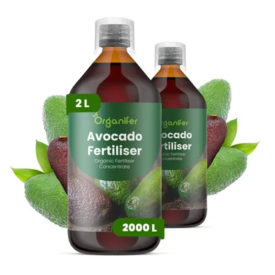 Produktbild von Avocado Flüssigdünger 2x1L – 2-1-8 NPK - Flüssigdünger Für Obstbäume – Für Kräftige Bäume & Gesunde Blätter – Fördert Wurzeln & Vitalität – Organifer