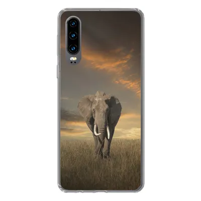 Produktbild von MuchoWow® Handyhülle Schutzhülle Hülle für Huawei P30 Elefant - Tiere - Gras - Natur Silikon Softcase Handy Hülle - Kartenbesitzer