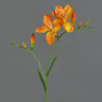 Produktbild von artplants.de Kunst Freesie MARUSHA, orange, 65cm, Ø7cm - Seidenpflanze