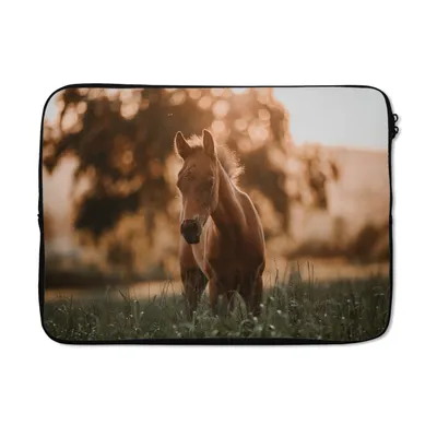 Produktbild von MuchoWow® Laptop Hülle 14 ZollPferd - Licht - Landschaft Laptoptasche - Laptoptasche - Stoßsicher - Schutzhaube