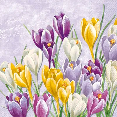 Produktbild von BLOOMING CROCUS Lilac Lunch-Servietten L1034180