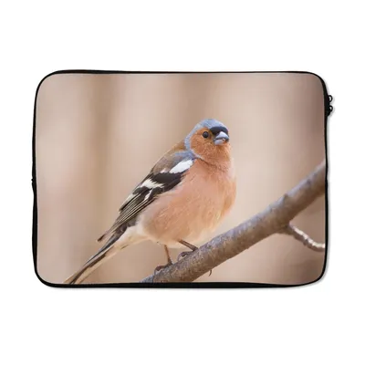 Produktbild von MuchoWow® Laptop Hülle 13 Zoll Vogel - Tiere - Fink Laptoptasche - Laptophülle - Sleeve - Rundumschutz