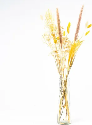 Produktbild von artplants.de Trockenblumen mit Flasche LOTTCHEN, braun, 77 cm, Ø15 cm - getrockneter Blumenstrauß