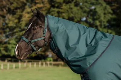 Produktbild von Horseware Amigo Ripstop 900D Hood Halsteil 0g Dynasty Green/Navy & Silver, Größe:Large