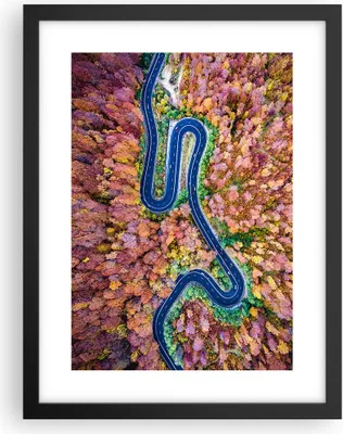 Produktbild von Gerahmtes Poster - Schwarzer Rahmen - Kurvenreich Weg Wald - 30x40 cm - Wand Bild - Wanddeko - Wandbilder - Kunstposter - Wandposter - Bilderrahmen - Bilder - Kunstdruck - Wandbild - P2BPA30x40-4291