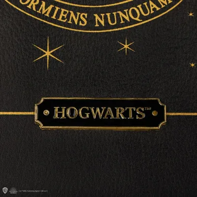 Produktbild von Harry Potter Kunstleder-Tragetasche Hogwarts