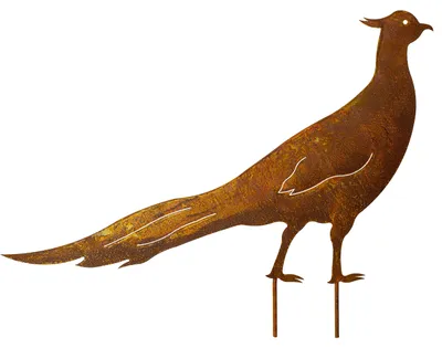 Fasan-Gartenstecker aus Rost, Patina-Look, 65 x 50 cm