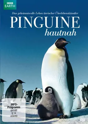 Obrázek produktu pro Pinguine hautnah