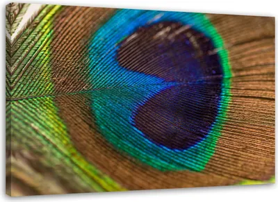 Produktbild von Leinwandbild pfauenauge 90x60 cm Feeby blau wandbild bereit zum aufhängen