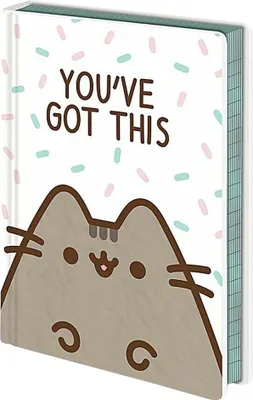 Obrázek produktu pro Pusheen - Zápisník "You've Got This" BS3088 (jedna velikost) (krémová/hnědá barva)