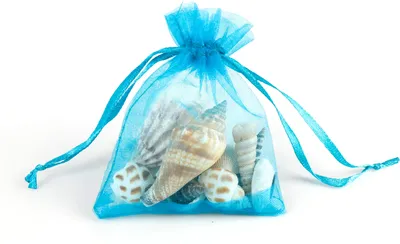 Produktbild von EDUPLAY 130306 Muscheln im Organzabeutel (Mitgebsel), natur