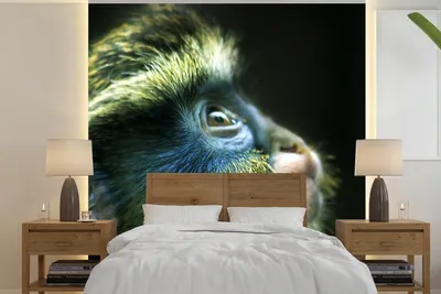 Produktbild von MuchoWow® Fototapete für Wohnzimmer oder Schlafzimmer Wandtapete Vinyl Motivtapete Affe - Fell - Schwarz - 300x300 cm - Wanddekoration
