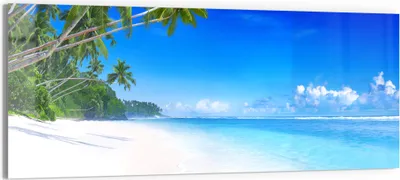Produktbild von DEQORI Glasbild Echtglas 125x50 cm 'Palmen am Sandstrand' Wandbild Bild modern Deko