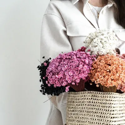 Produktbild von Lykke&You Glixia in Vielfalt: Farbenprächtige Trockenblumen für ein kreative Dekoration, schwarz / 1 großer Bund