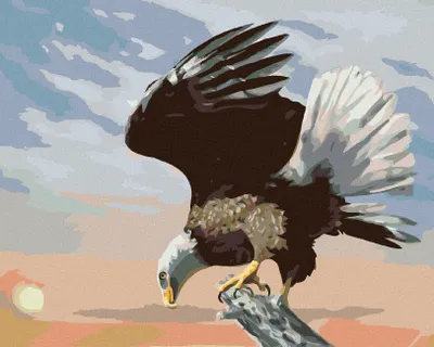 Produktbild von Zuty - Malen nach Zahlen - ADLER IN DER DÄMMERUNG (D. RUSTY RUST), 40x50 cm, mit Keilrahmen (bereits gespannt)