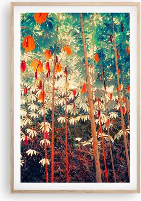 Produktbild von Gerahmtes Poster - Rahmen in heller Eiche - Pflanzen tropisch orange - 61x91,5 cm - Wand Bild - Wanddeko - Wandbilder - Kunstposter - Wandposter - Bilderrahmen - Bilder - Kunstdruck - P2NPA61x91-4393