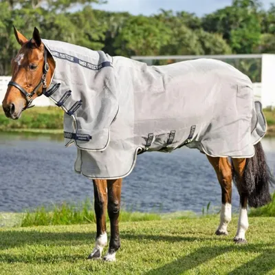 Image de Horseware Rambo Protector intégré