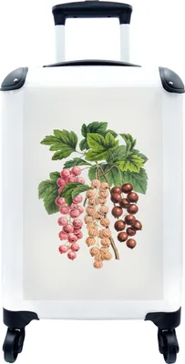 Produktbild von MuchoWow® MuchoWow® Koffer Handgepäck Trolley Rollkoffer Kleine Reisekoffer mit 4 Rollen - Obst - Beeren - Lebensmittel - Cabin Size < 55x40x23 cm & 55x40x20 cm - Fotokoffer - Kabinenkoffer - Boardgep
