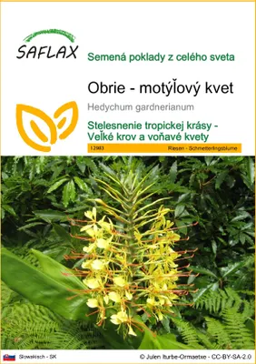 Obrázok produktu pre SAFLAX - Obrie - motýľový kvet - Hedychum gardnerianum - 10 Semená