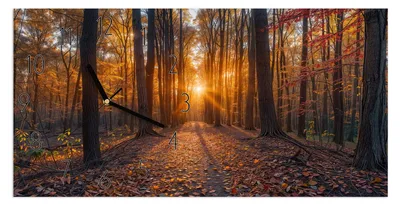 Produktbild von Wanduhr aus Glas mit Motiv Sonnenuntergang Wald- 60 x 30 cm - inkl. Aufhängesystem