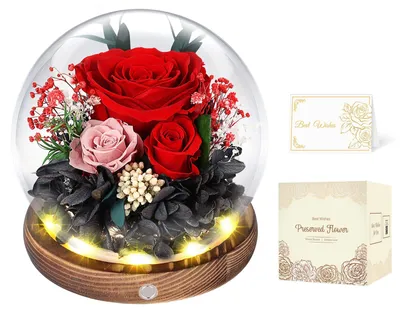 Ewige Rose in Glaskuppel mit LED, rot, 13 cm