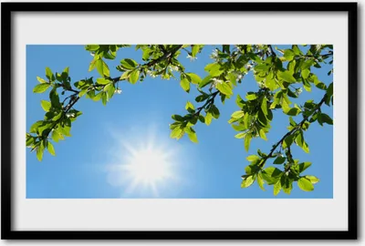 Produktbild von Bild 60x40 MDF-Rahmen Wandkunst Sonne Natur
