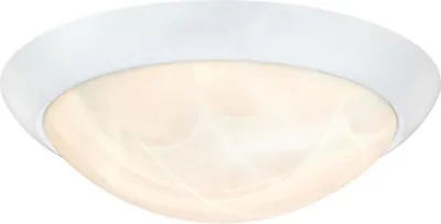Produktbild von Westinghouse 6106640, 1 Glühbirne(n), LED, 3000 K, 1000 lm, Weiß