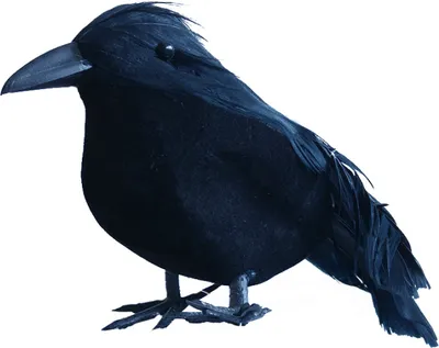 Produktbild von Kleiner schwarzer Rabe 9 cm für Halloween
