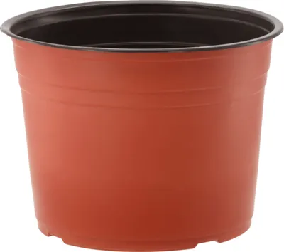 A brown plastic plant pot with a black rim, shown against a white background.