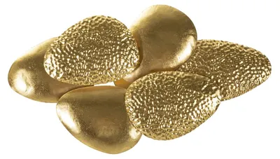 Immagine prodotto di Applique da muro Shell piccola in ferro dorato — 44×11×28 cm