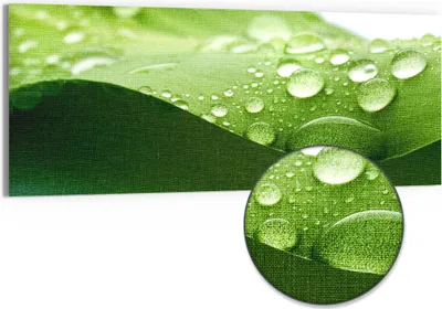 Produktbild von DEQORI Hybrid Leinwand Bild 125x50 cm 'Tropfenfrische' Wandbild Glas flach modern
