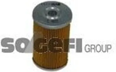 Produktbild von Kraftstofffilter FRAM C4891 passend für PEUGEOT 205 II (20A/C) Filtereinsatz