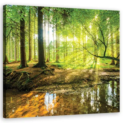 Produktbild von Leinwandbild Hirsch Sonnenaufgang 30x30 Feeby Grün bild für die wand bereit zum aufhängen