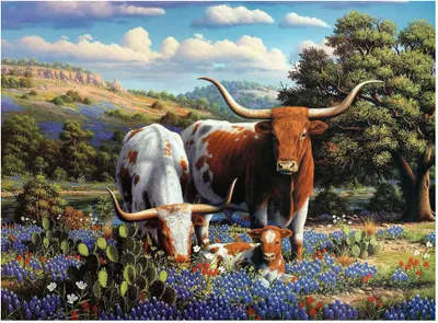 Produktbild von RAVENSBURGER Puzzle Dobytek na louce 500 dílků