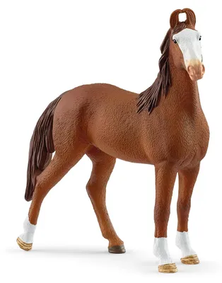 Immagine prodotto di Schleich Correccion de Categoria 14897 in Brown color size Talla unica