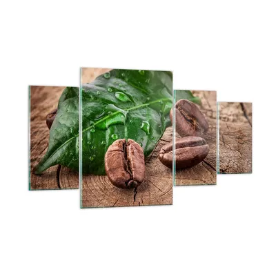 Produktbild von Bilder auf glas - Aroma Kaffee Pflanze Samen - 160x90cm - Glasbilder - Wandbilder - Kunstdruck - zum Aufhängen bereit - Wanddekoration aus Glas - Glas Bilder - Wandbild auf Glas - GDL160x90-2548