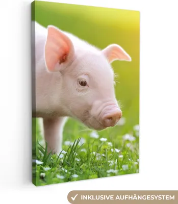 Produktbild von MuchoWow® - Leinwandbilder - Tiere - Ferkel - Schwein, Wandbild, Wanddeko Bilder Wohnzimmer, 80x120 cm