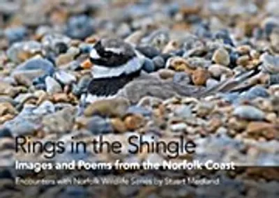 Obrázok produktu pre Rings in the Shingle