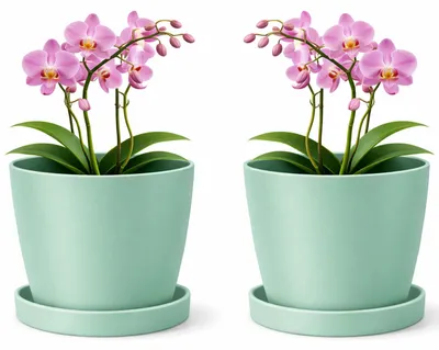 Image de Omgoods - Lot de 2 pots en finition mate - Pots décoratifs pour plantes, diamètre 14 cm
