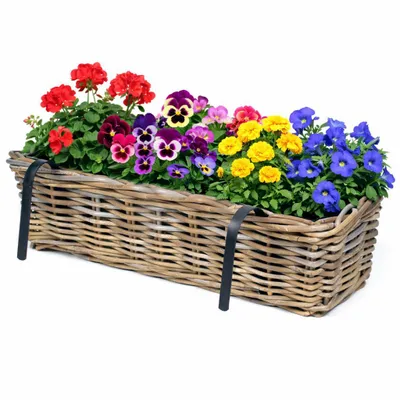 Produktbild von 1 x Blumenkasten "Marie" aus Weide für Geländer mit Folie und Halterung L 55 cm Geländerkasten Weide Blumenkästen aus Weide  Balkonkasten Weide