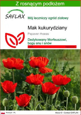 Zdjęcie produktu dla SAFLAX - Mak kukurydziany - 27000 Nasiona - Z podłożem uprawowym wolnym od zarazków - Papaver rhoeas