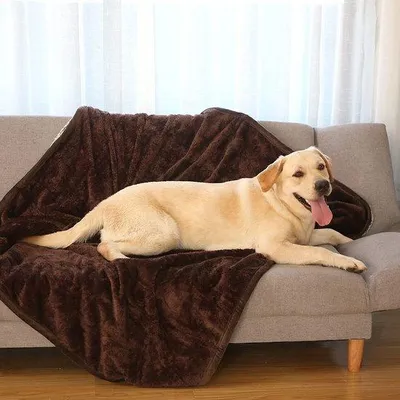 Produktbild von Famanu Hundeunterlage - Wende-Hundedecke mit wasserabweisendem Material
