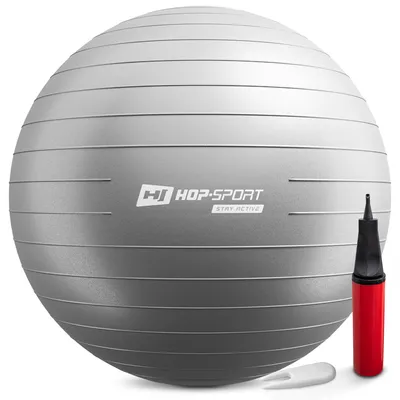 Produktbild von Hop-Sport Gymnastikball inkl. Ballpumpe, 75cm, Maximalbelastbarkeit bis 100kg, Fitnessball ideal für für Yoga Pilates, Balance - Silber HS-R085YB