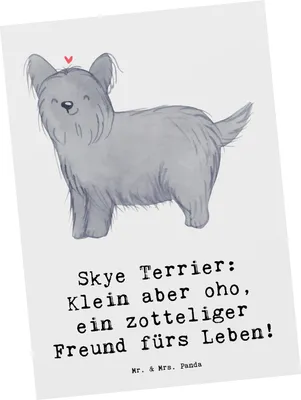 Produktbild von Mr. & Mrs. Panda Postkarte Skye Terrier Freund - Weiß - Geschenk, bildkarte, Ansichtskarte, Hunderassen Beschreibung, loyaler Hund, Grußkarte, Charakter, Hunderasse